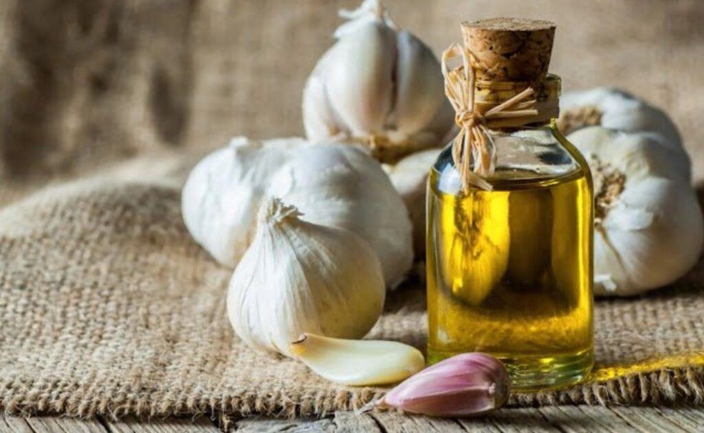 Benefits of garlic, discover the advantages of garlic oil