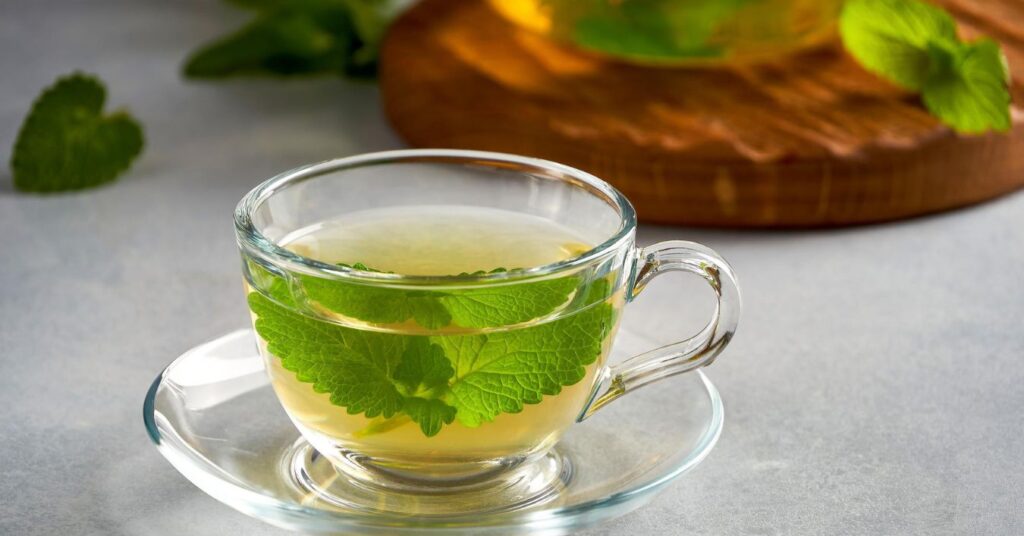Lemon Balm: Discover the Benefits of This Medicinal Plant for Your Health