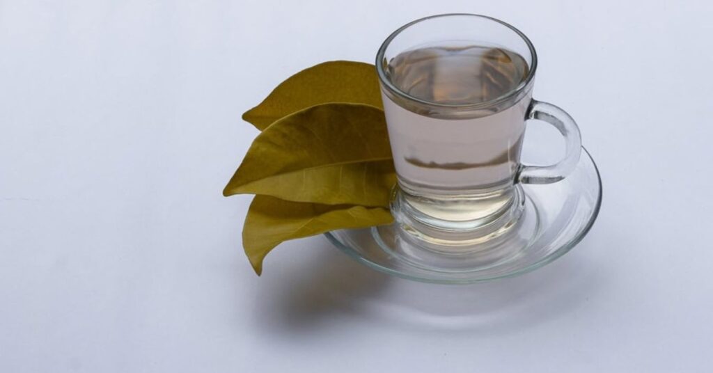 The 5 Benefits of Bay Leaf for Our Health