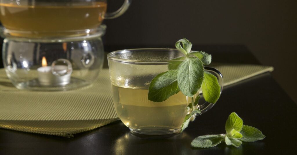 Boldo Tea: Learn What It’s For and Its Benefits for Your Body
