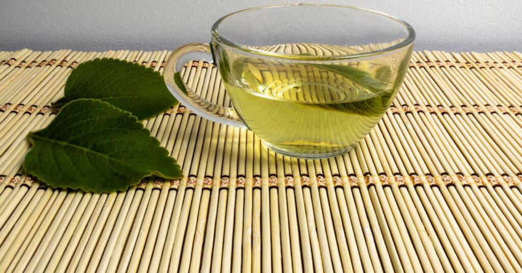 Boldo Tea: Learn What It’s For and Its Benefits for Your Body