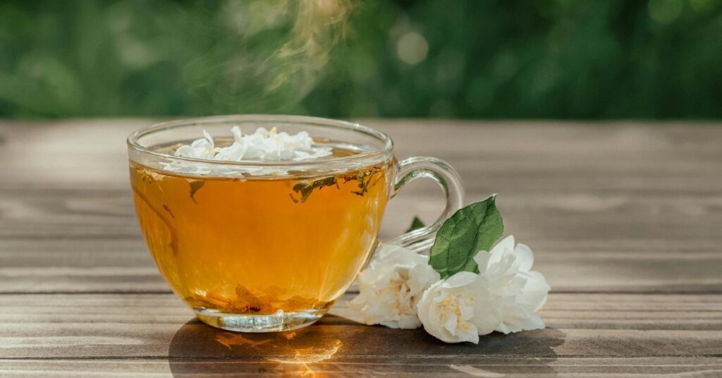 Oregano tea: what it's for and its benefits