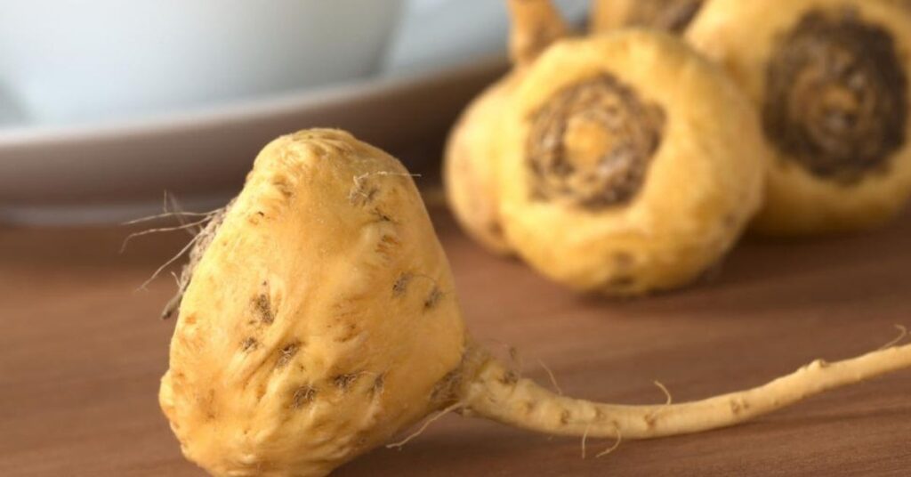 Peruvian maca what benefits for our health
