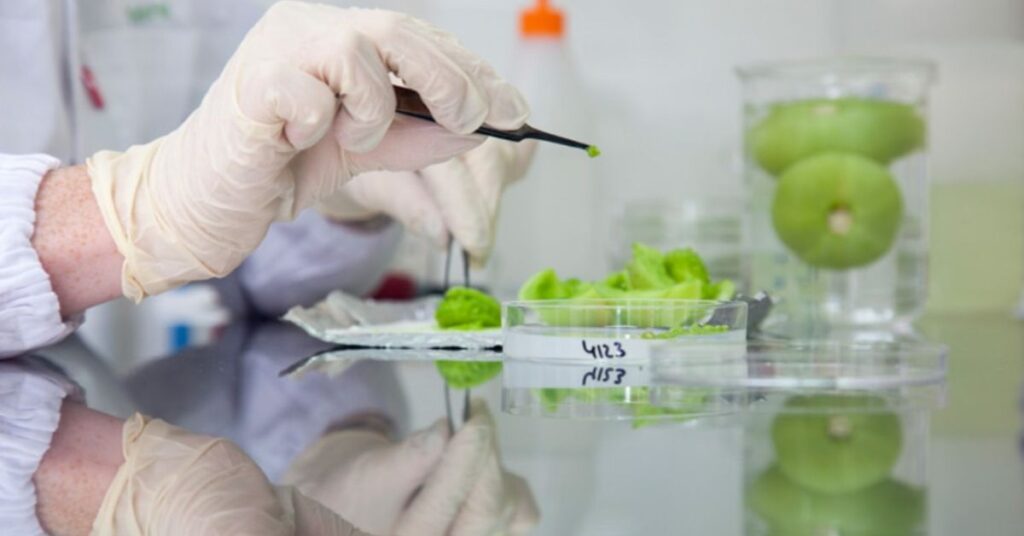 Scientific studies on the importance of natural herbs for our health