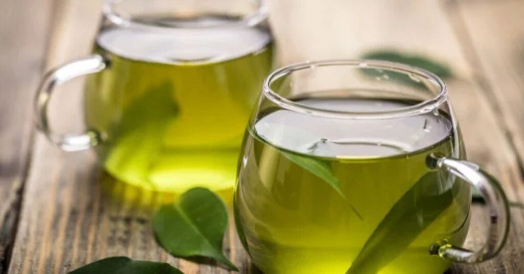 Lemon Balm: Discover the Benefits of This Medicinal Plant for Your Health